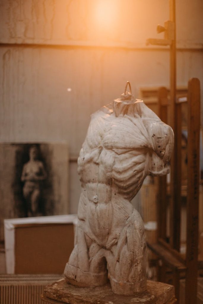 A classic marble torso sculpture illuminated by warm studio lighting, creating an artistic atmosphere.